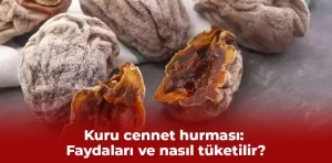 Kuru cennet hurması: Faydaları ve nasıl tüketilir?