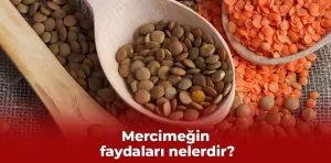 Mercimeğin faydaları nelerdir?