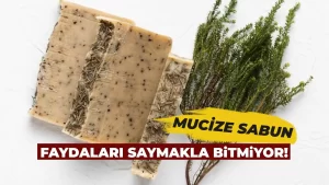 Sihirli sabun defne sabunu faydaları nelerdir?