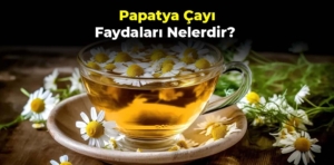 Papatya Çayı Faydaları Nelerdir? Papatya Çayı Neye İyi Gelir?