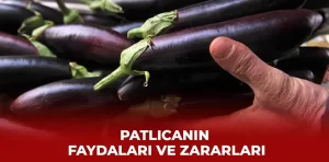 Patlıcanın faydaları nelerdir?