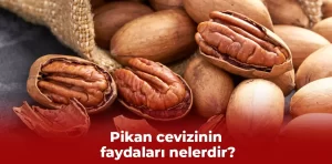 Pikan cevizinin faydaları nelerdir?