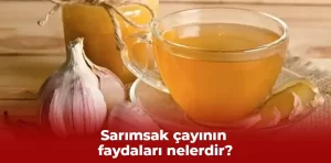 Sarımsak çayının faydaları nelerdir?