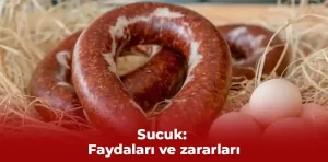 Sucuk: Faydaları ve zararları