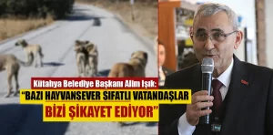 Belediye Başkanı Alim Işık, hayvanseverleri eleştirdi