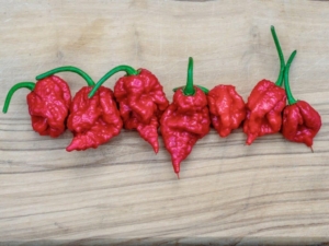 Dünyanın en acı biberi: Carolina Reaper faydaları nelerdir?