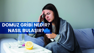 Domuz gribi nedir, nasıl bulaşır?