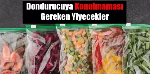 Dondurucuya konulmaması gereken yiyecekler