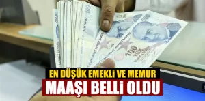 Enflasyon Verileri Açıklandı: Emekli ve Memur Maaşı Belli Oldu