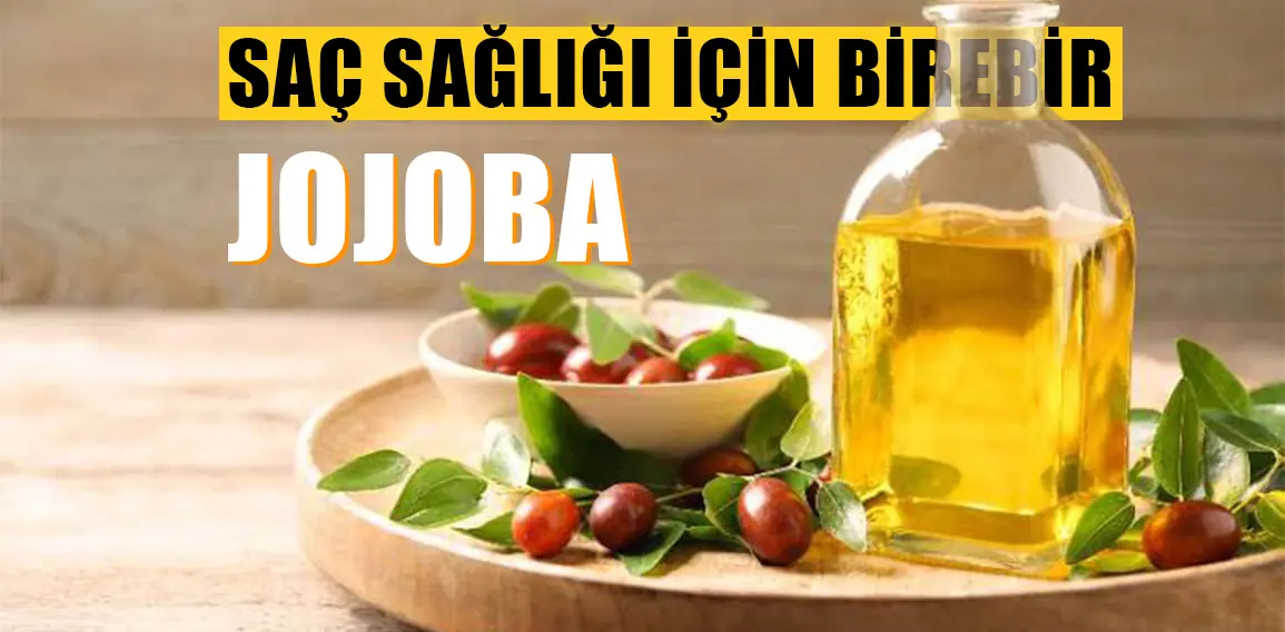 Jojoba Yağı Nedir? Jojoba