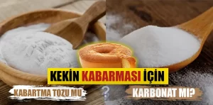 Keki hangisi daha çok kabartır?