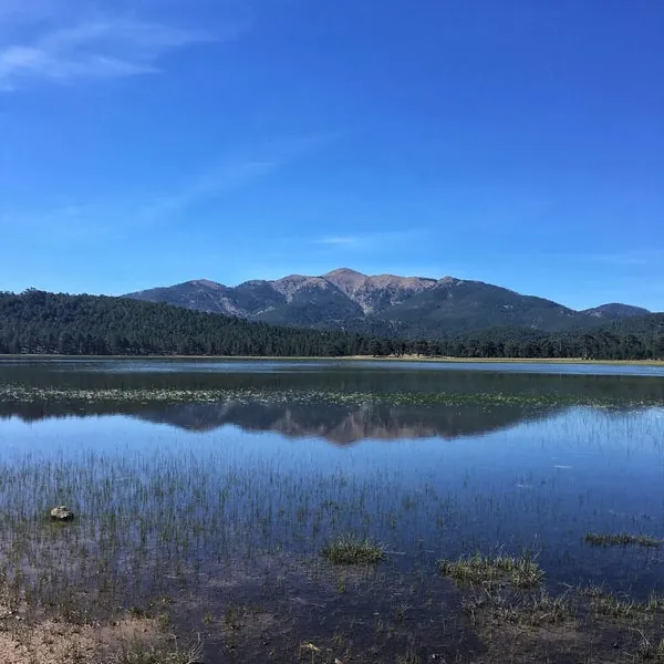 Kartal Gölü Tabiat Koruma Alanı, Muğla