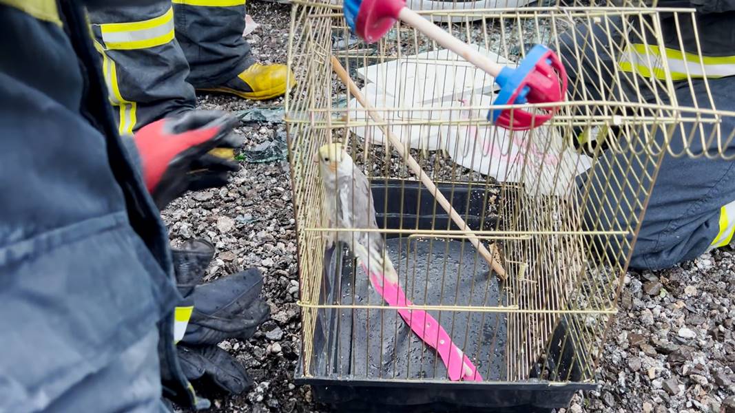 Kütahya’da otomobil takla atarak devrildi, yaralılar var