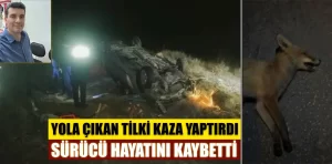 Kütahya’da otomobil tilkiye çarparak devrildi: 1 ölü