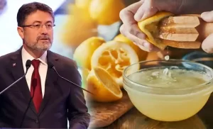 Limon sosu nedir ve neden yasaklandı?