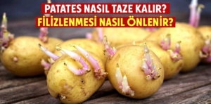 Patates nasıl taze kalır? Filizlenmesi nasıl önlenir?