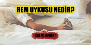 Rem Uykusu Nedir? Evreleri Nelerdir?