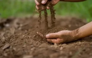 Toprak islahı nedir? Faydaları nelerdir?