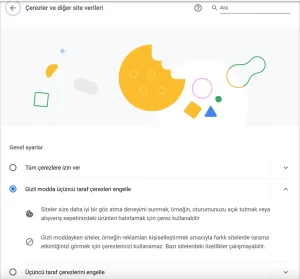 Google çerezleri kalkıyor mu?