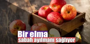 Elma’nın faydaları nelerdir? Uykuya etkisi var mı?