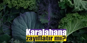 Karalahana nedir? Kilo vermeye etkili mi?