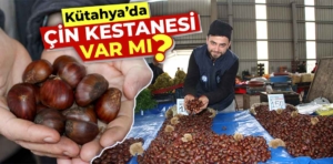 Kütahya’da Çin kestanesi tezgahlarda satılıyor mu?