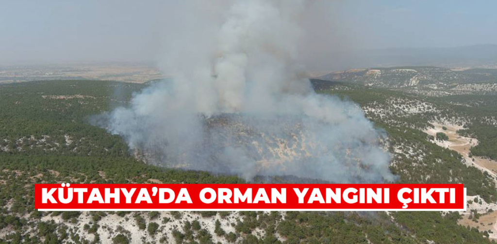 Kütahya’da orman yangını çıktı