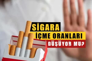 Sigara içme oranları düşüyor mu?