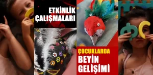 Çocuklarda beyin gelişimi için etkinlik önerisi