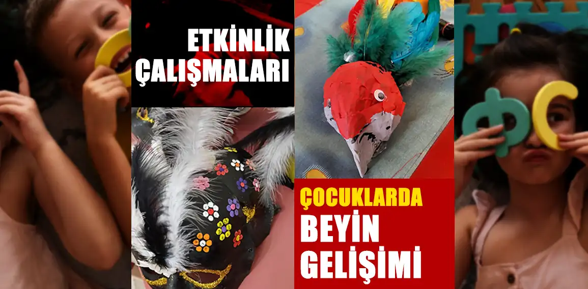 Çocuklarda beyin gelişimi, yaşamın