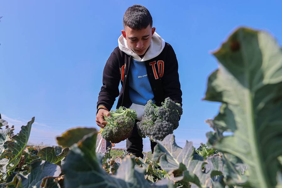 Çöplüktü meslek liselilerin eliyle bostana dönüştü