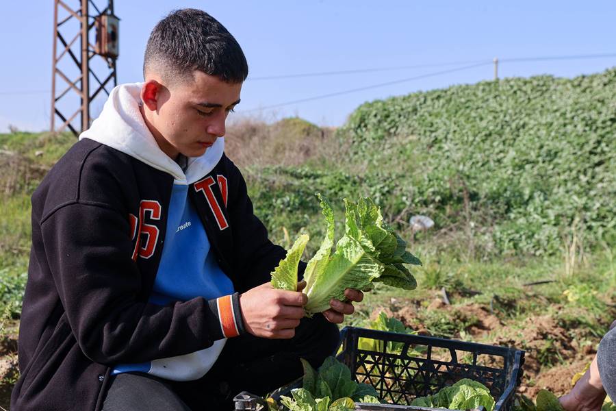 Çöplüktü meslek liselilerin eliyle bostana dönüştü