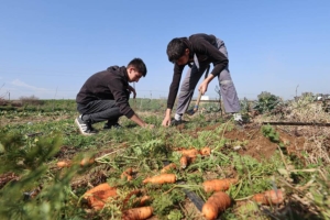 Çöplüktü meslek liselilerin eliyle bostana dönüştü