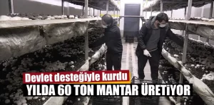 Devlet desteğiyle kurdu, yılda 60 ton mantar üretiyor