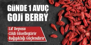 Goji berry meyvesinin faydaları nelerdir?