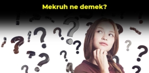 Mekruh ne demek?