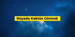 Rüyada kaktüs görmek ne anlama gelir?