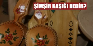 Kütahya’dan bir parça: Şimşir kaşığı nedir?