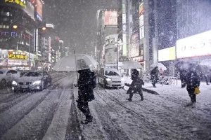 Tokyo’da kar yağışı nedeniyle 240 kişi yaralandı