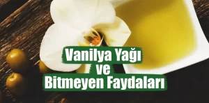 Vanilya Yağı Nedir? Faydaları Nelerdir?