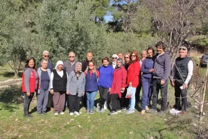 Fethiye’de Zeytin Budamada Dil Engelleri Kalktı!