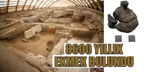 Çatalhöyük’te 8 bin 600 yıllık ekmek bulundu