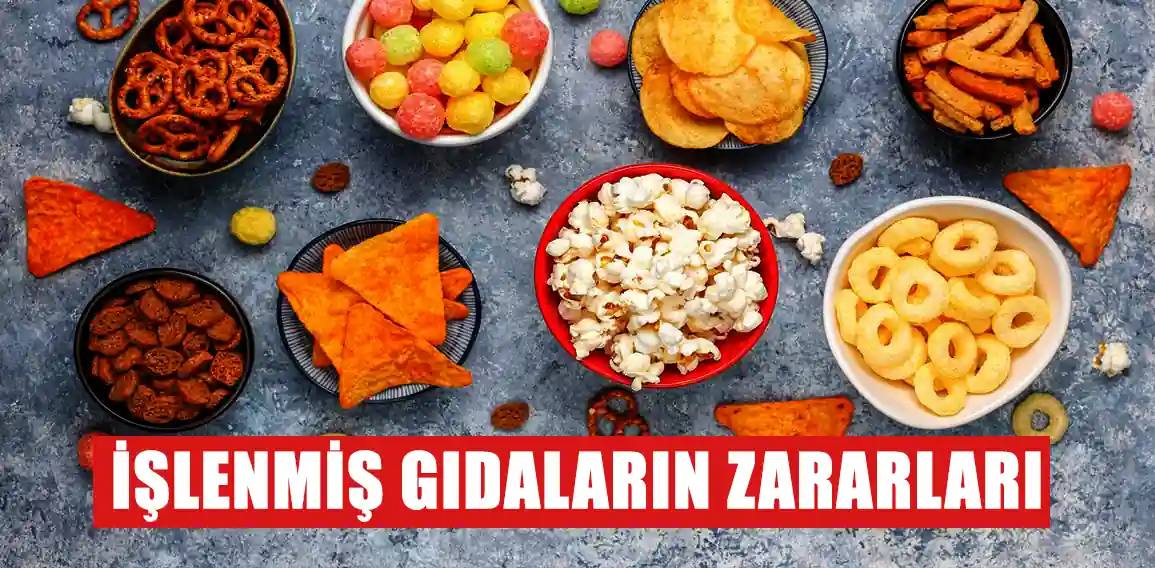 Son zamanlarda yapılan kapsamlı