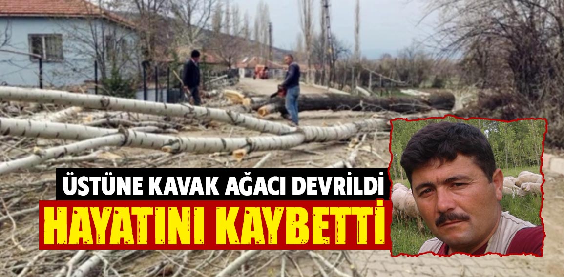 Kütahya’nın Tavşanlı ilçesinde, kesilen