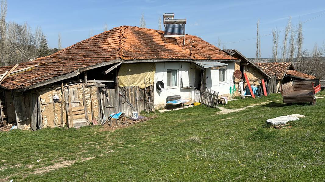 Kütahya'daki terk edilmiş köyde tek başına yaşayan vatandaş oyunu kullandı