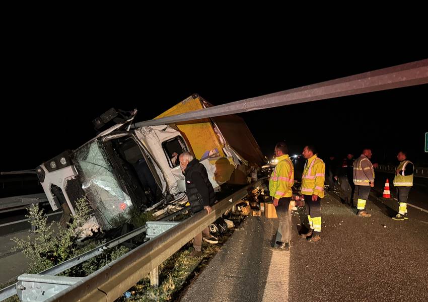 Manisa’nın Saruhanlı ilçesinde, refüjdeki