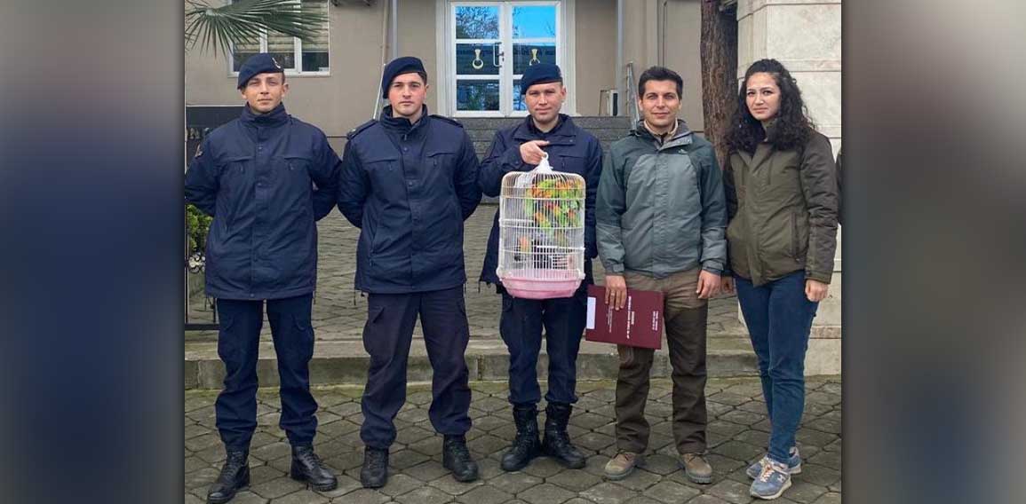 Manisa'da papağan ticareti yapan kişiye ağır cezai işlem