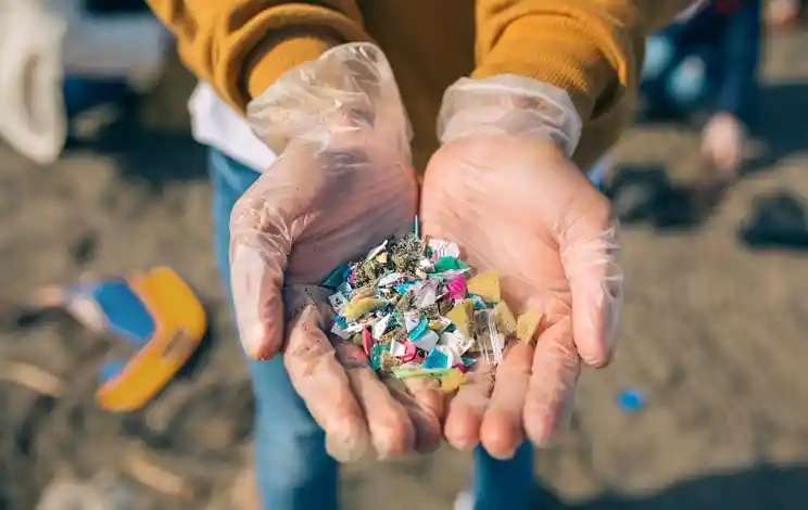 Günümüzde plastik kirliliği, sadece