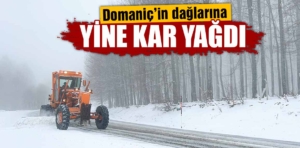 Domaniç-İnegöl kara yolunda kar ve sis etkili oldu