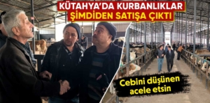 Kütahya’da kurbanlık satışları erken başladı